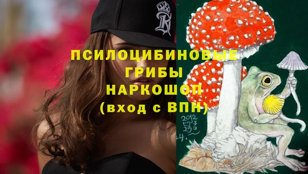 2c-b Кулебаки
